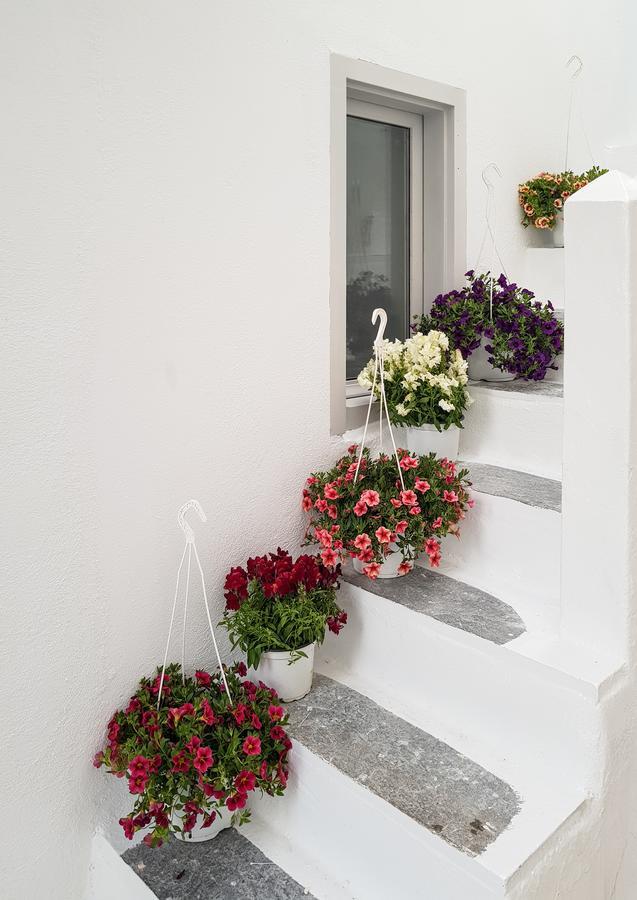 Aniko Suites Chora Mykonos Town 外观 照片